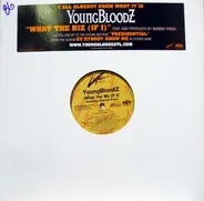 YoungBloodZ feat. Mannie Fresh - What Tha Biz (If I)