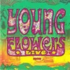 CD - Young Flowers - Live