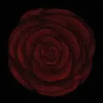 Young Widows - Future Heart