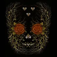 Young Widows - In and Out of Youth and Lightness