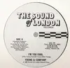 12'' - Young & Company - I'm Too Cool