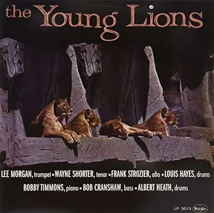 young lions - YOUNG LIONS