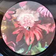 LP - Your Friend - Gumption