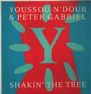 Youssou N'Dour & Peter Gabriel - Shakin' The Tree