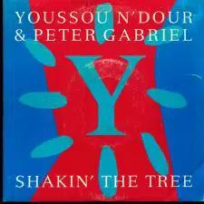 Youssou N'Dour & Peter Gabriel - Shakin' The Tree