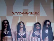 Y.N.V. - I'm Goin' Down