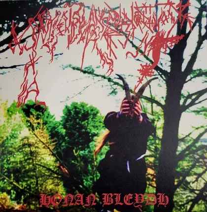 Ynkleudherhenavogyon - Honan Bleydh