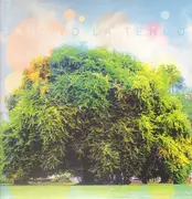 LP & CD - Yo La Tengo - Fade