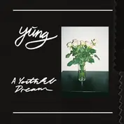 Yung