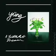 LP - Yung - A Youthful Dream - Clear