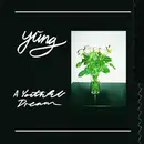 CD - Yung - A Youthful Dream - Digipak