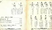 7inch Vinyl Single - Yukio Hashi - 佐久の鯉太郎