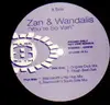 12'' - Zan + Wandalis - You're So Vain