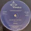 12inch Vinyl Single - Zagada - We Are Not The First