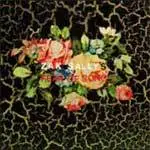 7'' - Zak Sally's Fear Of Song - Why We Hide - = FORMER BASSIST FOR LOW / SOUND OF ONE MAN CLANG