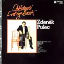 LP - Zdeněk Pulec - Ohlédnutí (Looking Back)