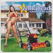 Zebrahead - Playmate of the Year