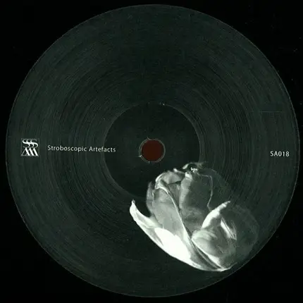 Zeitgeber - Body Out Body In