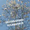CD - Zeitkratzer - Volksmusik