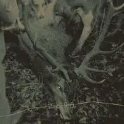 Zero - Hungry Dogs (in The Backyard)