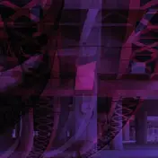 ZK - Last Night