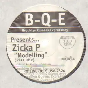 Zicka P - Modelling