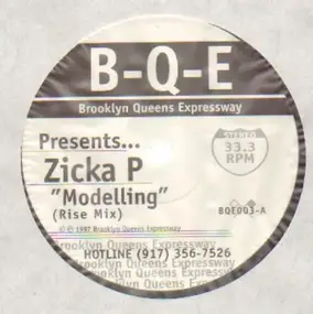 Zicka P - Modelling