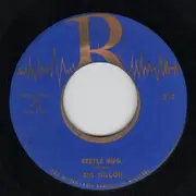 7inch Vinyl Single - Zig Dillon - Bird Song Boogie /  Beetle Bug - Original US