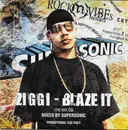 CD - Ziggi - Blaze It (The Mix CD)