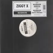 Ziggy X - Bassdusche (can you feel it?)