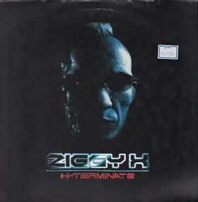 Ziggy X - terminate