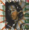 LP - Ziggy Marley And The Melody Makers - Conscious Party - OBI and Insert included / Promo copy