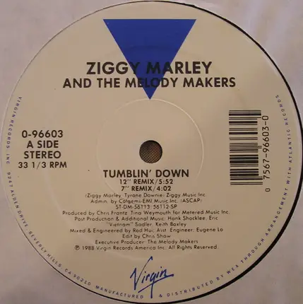 Ziggy Marley And The Melody Makers - Tumblin' Down