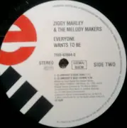 12inch Vinyl Single - Ziggy Marley And The Melody Makers - Everyone Wants To Be