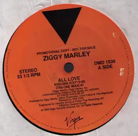 Ziggy Marley - All Love (KRS-One Edit)