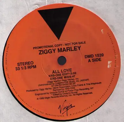 Ziggy Marley - All Love (KRS-One Edit)