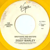 Ziggy Marley - Brothers And Sisters