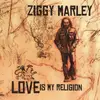 LP - Ziggy Marley - Love Is My Religion
