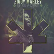 Ziggy Marley - In Concert