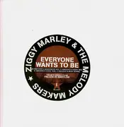 12'' - Ziggy Marley And The Melody Makers - Everyone Wants To Be