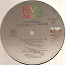 12'' - Ziggy Marley And The Melody Makers - Give A Little Love