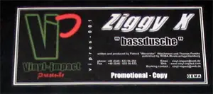Ziggy X - Bassdusche (Can You Feel It ?)