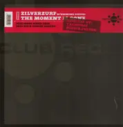Zilverzurf - The Moment Is Gone