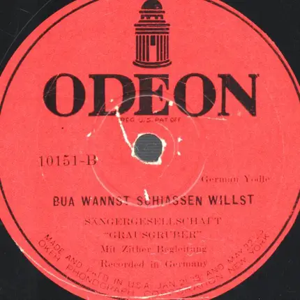 Zither Begletung - S´dirnde is vom Bacherel / Bua wannst schiassen willst