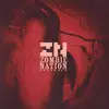 LP - Zombie Nation - Absorber - SIDE A & B ONLY