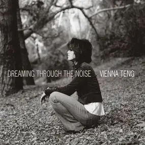 vienna teng - Dreaming Through the Noise