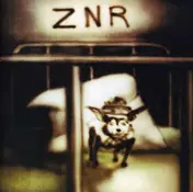 ZNR - Traite De Mecanique Popul