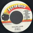 7inch Vinyl Single - Zumjay / Aisha Davis - Feeling Good / Get It On