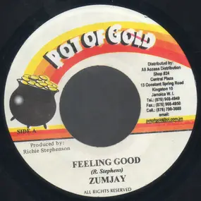 Zumjay - Feeling Good / Get It On