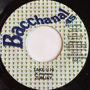 7inch Vinyl Single - Zumjay - Take U Hi